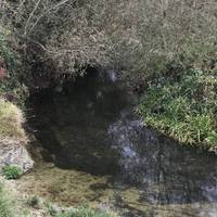 This day starts on the path that leads from Abingdon Court Lane. Walk with the river on your left to begin with.