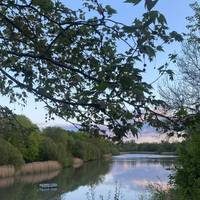 Veer off slightly and explore a wondrous nature reserve, a former reservoir, located in Barnes