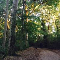 This road was turnpiked by an Act of 1756, and was once a main route to London for stagecoaches and other vehicles until c. 1795.