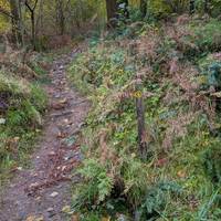 Then immediately take the path on the right.