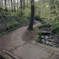 Keep following the path next to the stream until you arrive at a crossing after a steeper uphill.
