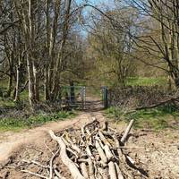 Walk straight through the gate and through Barker's Woods along straight dirt path. A great place for foxes, buzzards and birdlife. 🦊 🐦