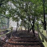 Turn right and continue up the steps.