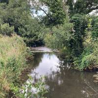 Keep following the path alongside the river, you’ll come to a second field which continues along the river until you come to a footbridge.