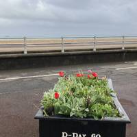 There’s so much history in Portsmouth. These D Day planters are in commemoration of 60 years since the big day.