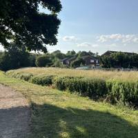 Walk along the gravel footpath on the outskirts of the park with the brook to your right. Take a peek at the community allotments!