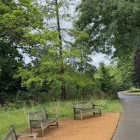 Turn into the museum gardens and walk down the hill