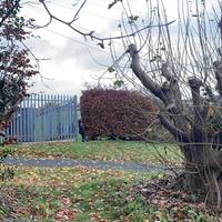 There’s a gate that leads you across a path towards Moor Park.