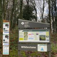 This walk starts at the far end of Whitestone car park in the Wye Valley Woodlands. Please note it’s very muddy in wet or wintry weather.