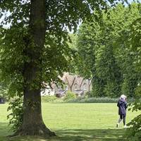 You’ll see some beautiful houses nestled behind the trees.
