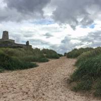 Once you reach the end of the castle, turn left, there's a path up through the dunes to the right of the final turret.