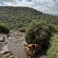 As you follow the trail down the hill, you’ll be met with a split path where you’ll want to opt for the left turning.