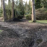 This was the muddiest of any of the paths in January, most are clean and suitable for buggies, wheelchairs, bikes, scooters etc. 