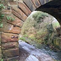 Follow the trail under the bridge