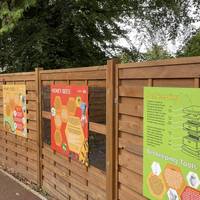 As you pass the meeting room the path takes you round to the left. You may hear buzzing! The Castlebank bees are behind this fence!