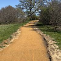Walk up the gravel track between the trees ahead.
