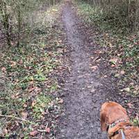 This lane is an ancient one dated back to a least the 11th century.