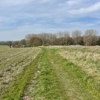 Follow the footpath down a gentle slope, enjoying the views.