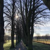 Keep going straight on through Ecclesfield Park