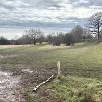 Where the track ends and a path goes left, turn sharp right up the grass to pass between trees. (Not the broader grass track ahead.)ra