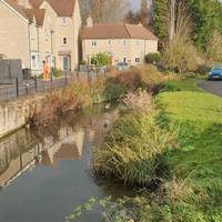 Start from the bridge at the end of Meadow Road and walk down Kingston Avenue once on the other side of the river.