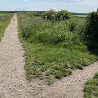 You come to a fork in the path! You want the left path as the right may be more treacherous! The guide is sniffing something of interest.