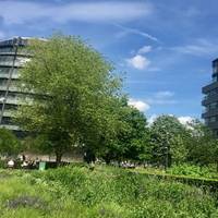 We start at Potters Field by tower bridge. Plenty to eat around here if you need a snack for the walk! 