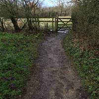 Follow through the footpath gates and into an open field. The footpath leads you diagonally across the field...