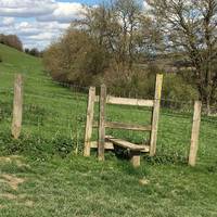 Walk past this stile. You can take an alternative route over this stile. 