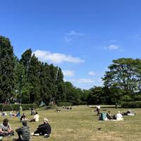 On your left you’ll see Allen Gardens, our first green space for this walk.