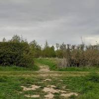 Where a path crosses, keep straight on through the gap in the hedge, signposted Groves Walk.