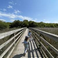 Head onto the boardwalk path to the right of the toilet block.