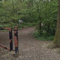 Pass through the gate and step inside to be greeted by the birds and the trees 💚🌳