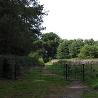 From the sunken path between the North Lawn and a meadow to your right, continue until you reach the dam.