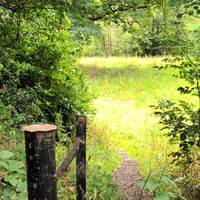 Take the path on the left, marked by the old metal fence post.