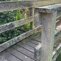 Walk straight until you see this beautiful wooden bridge. Go across it and turn left.