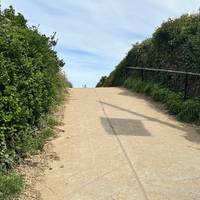 To head onto the beach, turn right and head up the path. There’s a steep incline here.