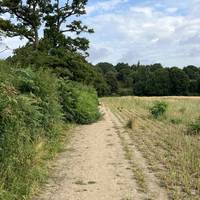 You have to walk around the edge of the field a bit more to get access to the hill path.