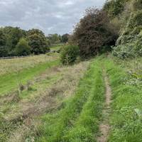 Continue ahead into the trees.