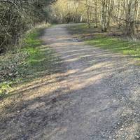 Follow the path through the wood.