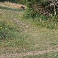 Keep uphill to the bench where you turn right
