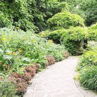 I started off my jaunt by entering the amazing Ada Salter Rose Garden 🌿