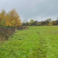 You will emerge in the grounds of Berden Hall…