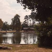 We found this little pond/lake and decided to explore its surroundings. 