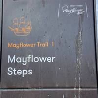 This route follows the signposted Mayflower Trail. You’ll find these information boards along way. Feel free to take your time reading them.