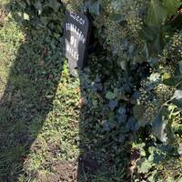 There are a few of these cast iron signs on the route, a remnant of the canal’s industrial origins. Braunston is the start of the GU canal.