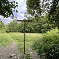 Here you'll enter Rodden Meadow. Head right and right again on the grassy path.