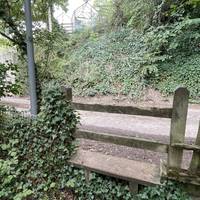 Head over the stile and turn left onto the quiet lane.