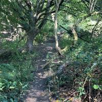 The path will meet another one. Take a right and follow the path up hill using some steps which have been installed by the Bath Ramblers.