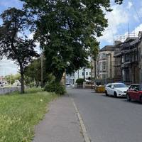 With the bus stop behind you, follow the pavement towards the big path-side tree.